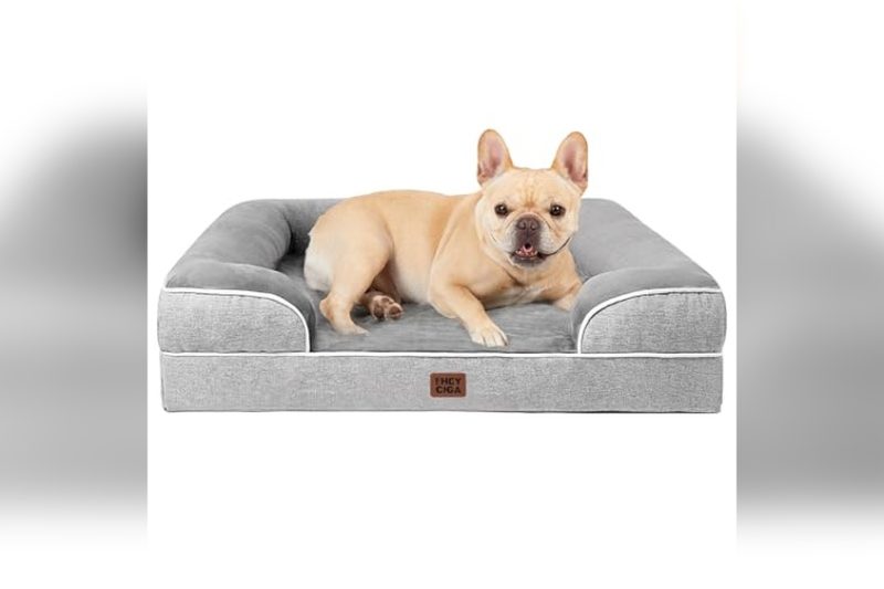 Best French Bulldog Bed: Top Cozy Picks for Your Pup