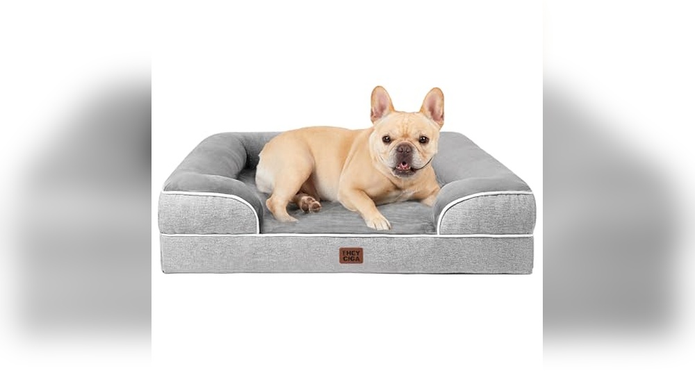 Best French Bulldog Bed