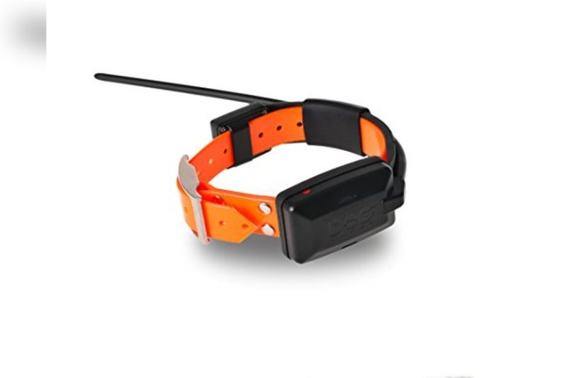 Best GPS Dog Collar for Hunting: Top Picks & Honest Reviews