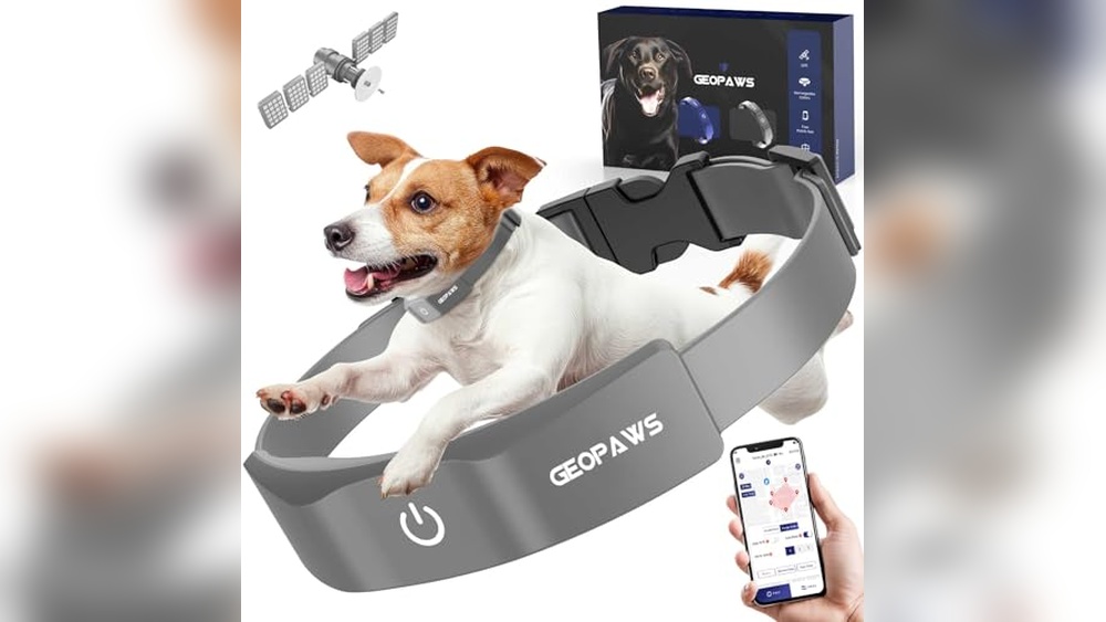 Best Gps Fence Dog Collar