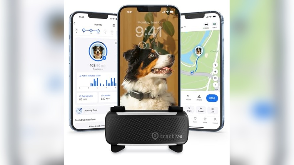 Best Gps For Dog Collar