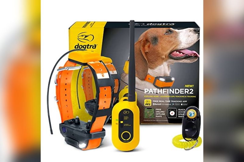 Best GPS Hunting Dog Collar: Top Reliable Picks Reviewed