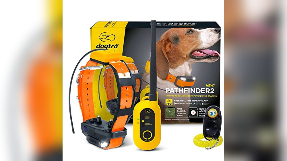 Best Gps Hunting Dog Collar