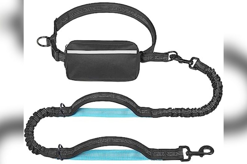 Best Handsfree Dog Leash Reviews for Safe, Easy Walks 2024