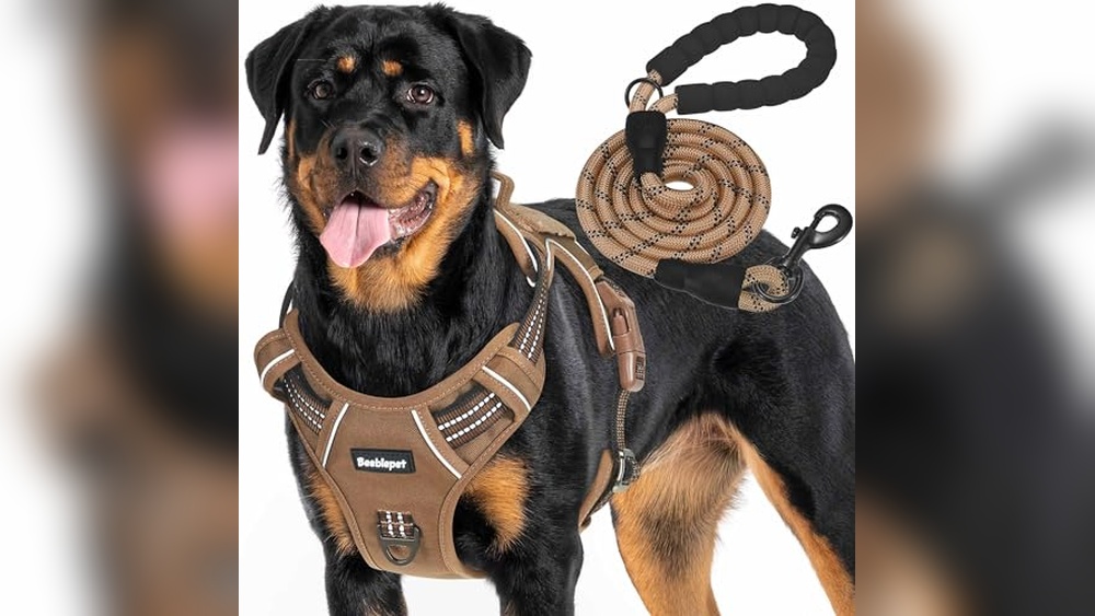Best Harness For American Bulldog