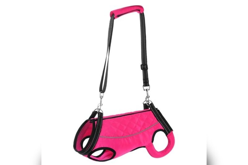 Best Harness For Dog Missing Front Leg: Top Picks & Reviews