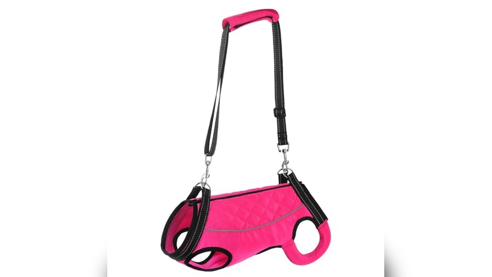 Best Harness For Dog Missing Front Leg