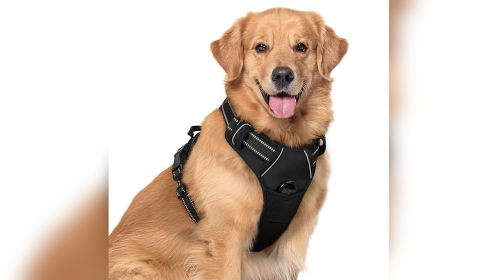 Best Harness For Strong Dogs That Pull