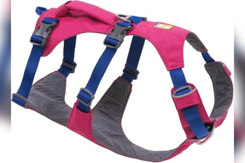 Best Harness For Tripod Dog: Top Picks for Comfort & Support