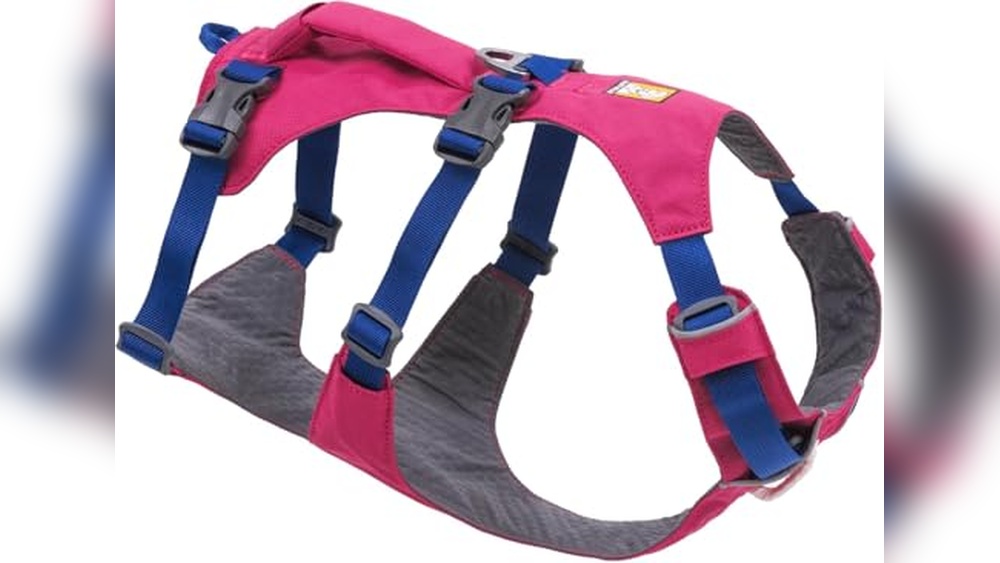 Best Harness For Tripod Dog