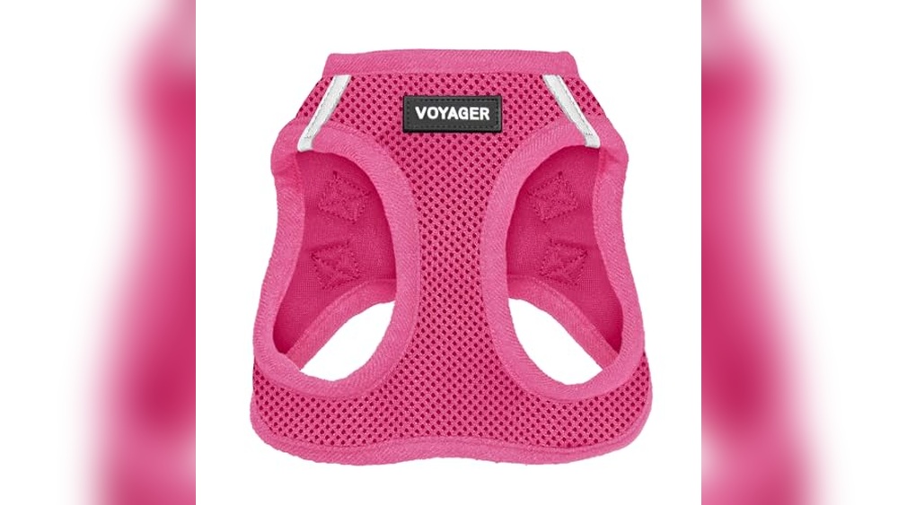 Best Harness Small Dog