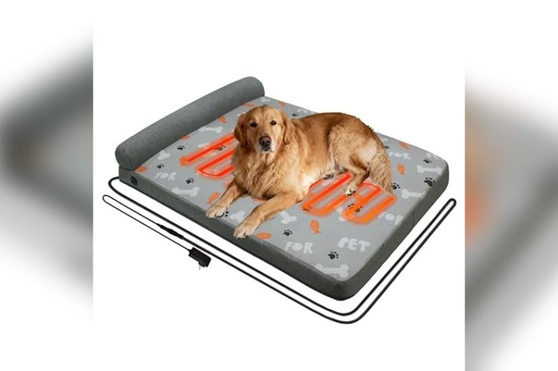 Top 7 Best Heated Dog Bed For Arthritis – Expert Reviews 2024