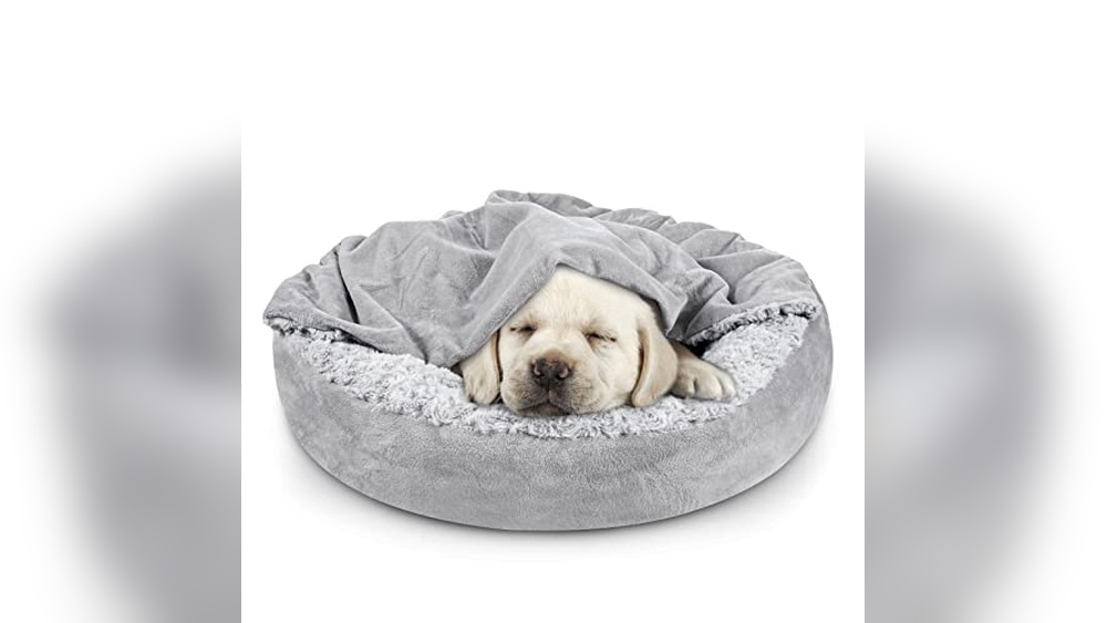 Best Hooded Dog Beds