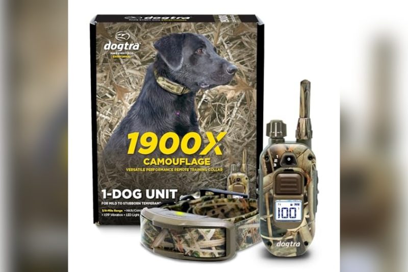 Best Hunting Dog E Collar: Top Picks for Training Success