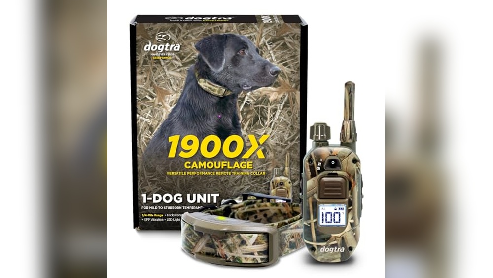 Best Hunting Dog E Collar