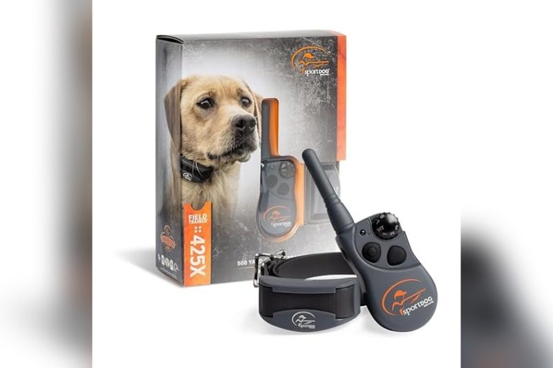 Best Hunting Dog Training Collar: Top Picks for Effective Training