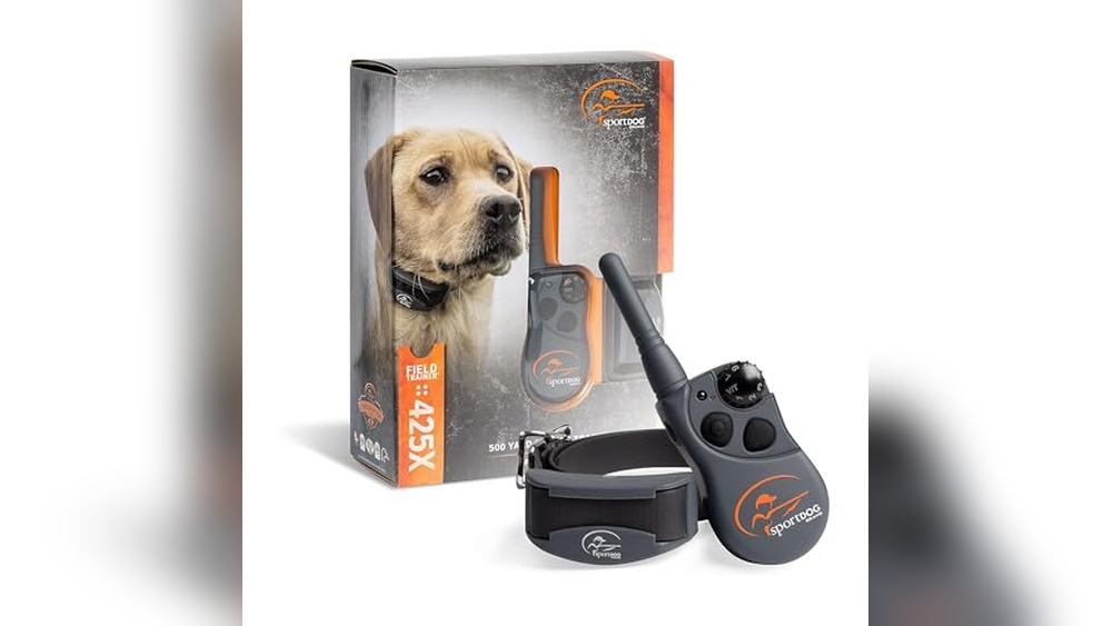 Best Hunting Dog Training Collar