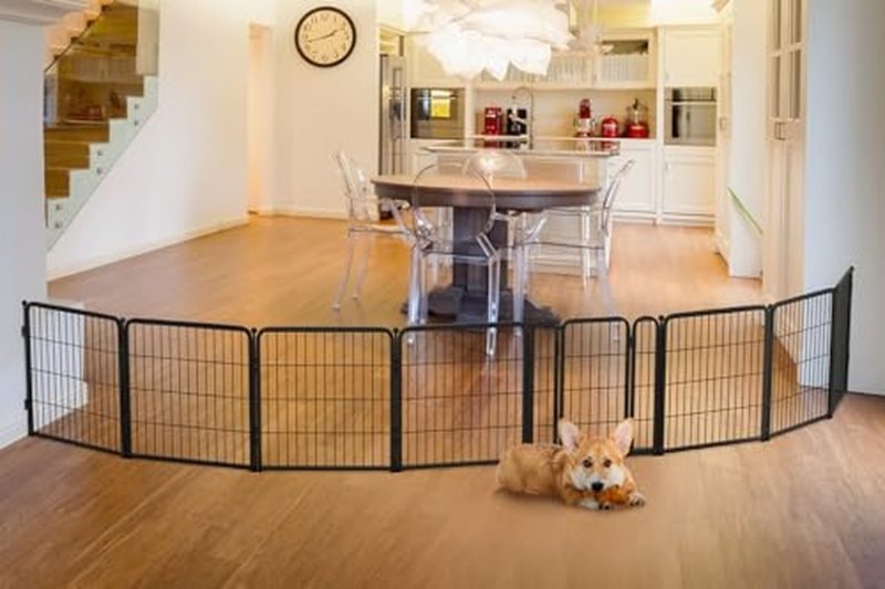 Best Indoor Dog Gates For Large Dogs: Top Picks & Reviews 2024