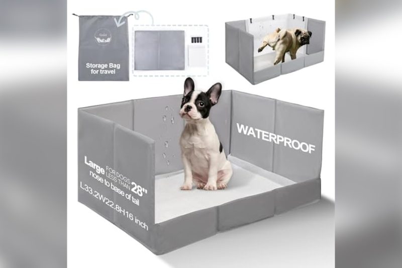 Best Indoor Dog Litter Box: Top Picks for Clean, Easy Use