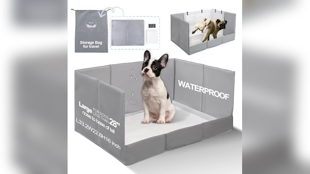 Best Indoor Dog Litter Box