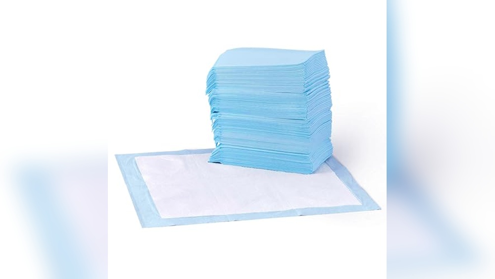 Best Indoor Pee Pad For Dogs