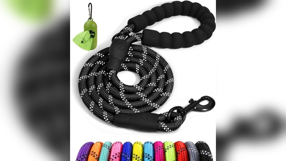 Best Large Dog Leash