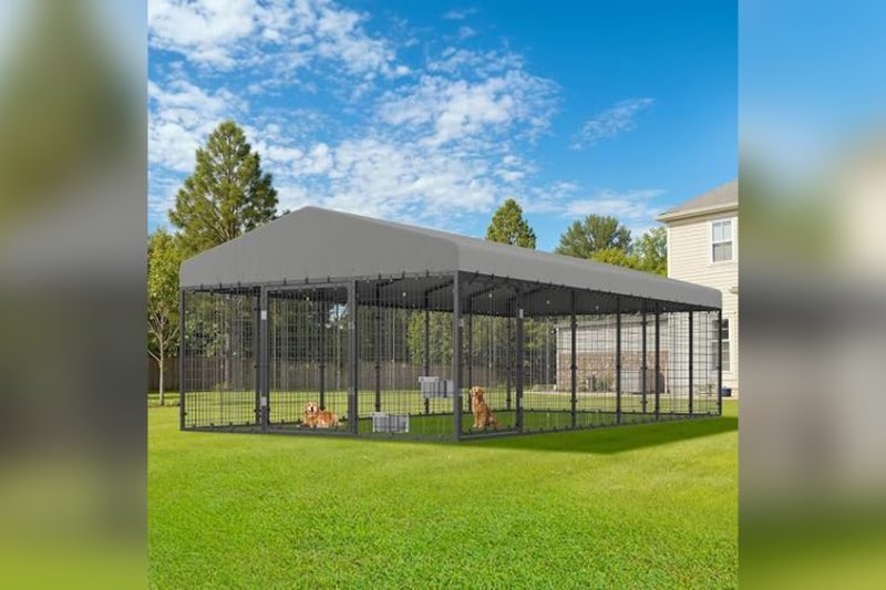 Best Large Outdoor Dog Kennels: Top Picks for Durability & Space