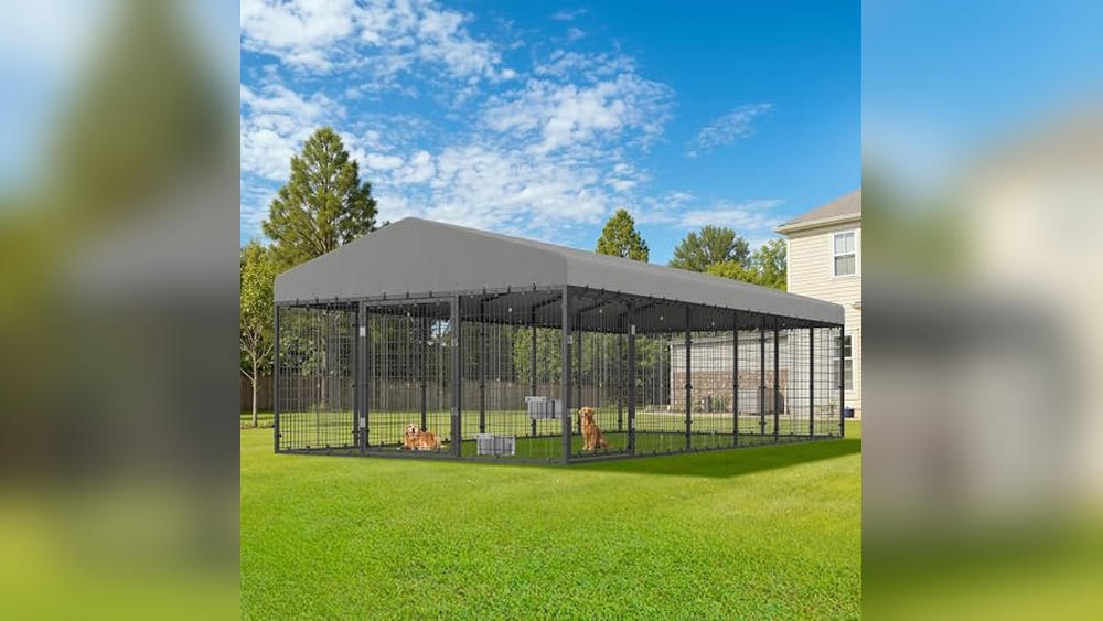 Best Large Outdoor Dog Kennels