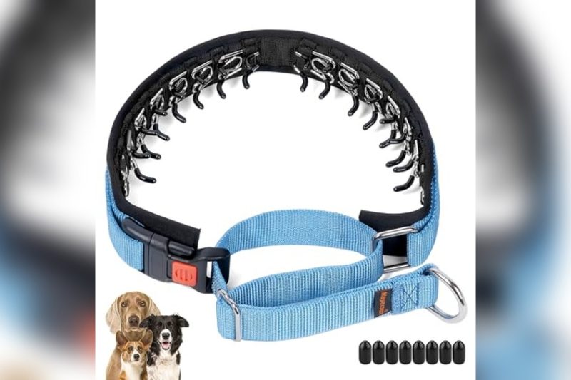 Best Leash And Collar For Dogs That Pull: Top Picks 2024