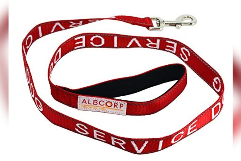 Best Leash For Service Dog: Top Picks for Safety & Control