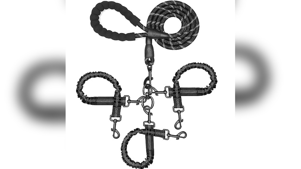 Best Leash For Walking Multiple Dogs