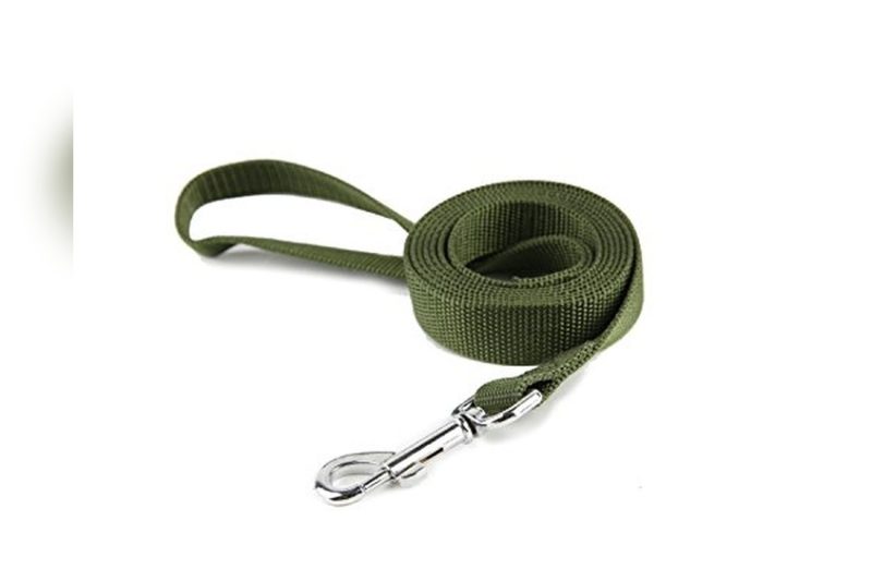 Best Leash Length for Medium Dog: Expert Buying Guide 2024
