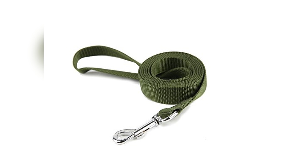 Best Leash Length For Medium Dog