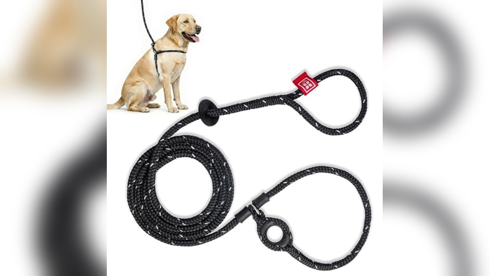 Best Leash To Stop Dog From Pulling