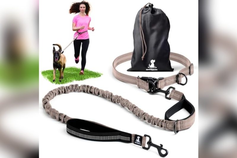 Best Leashes For Running With Dogs: Top Picks & Reviews 2024