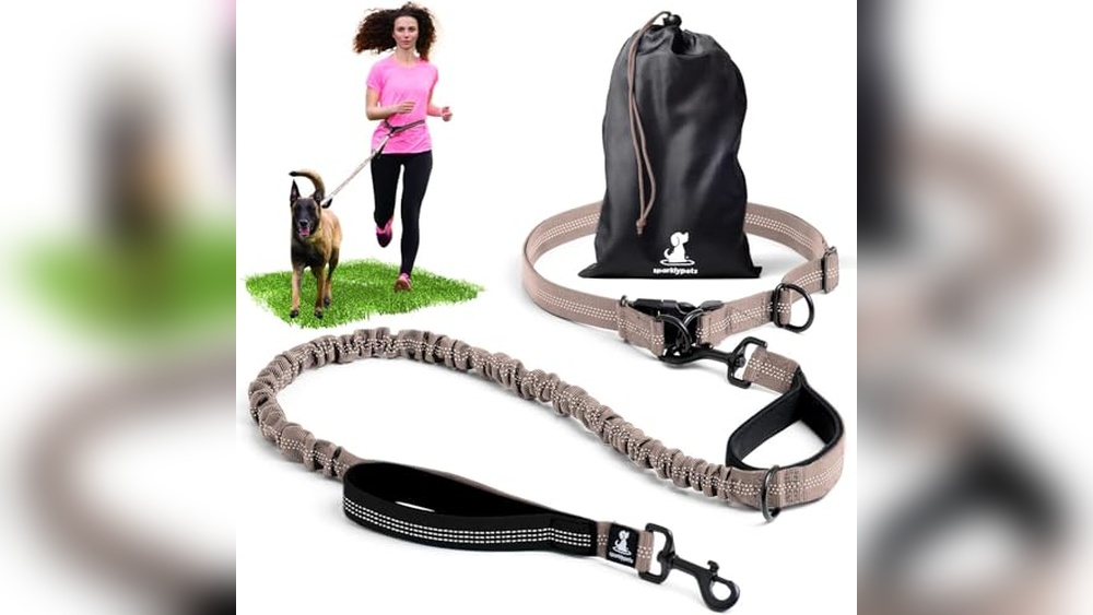 Best Leashes For Running With Dogs