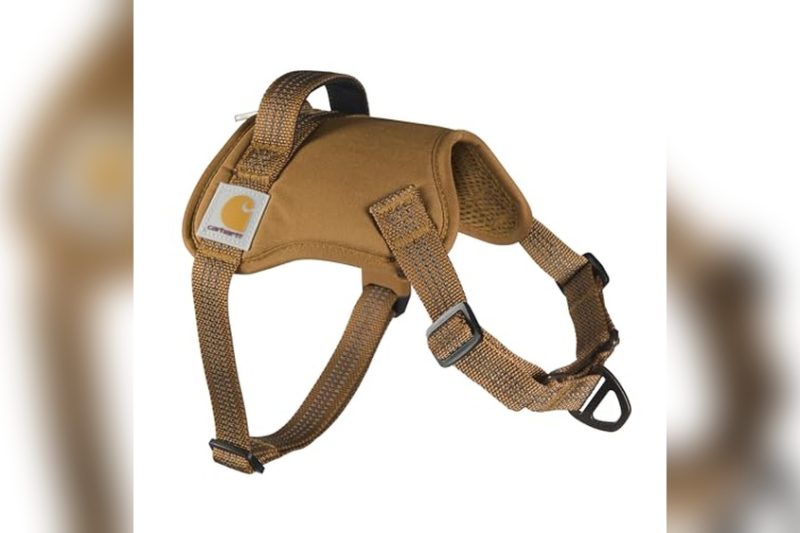 Best Leather Dog Harness: Top Picks for Comfort & Durability