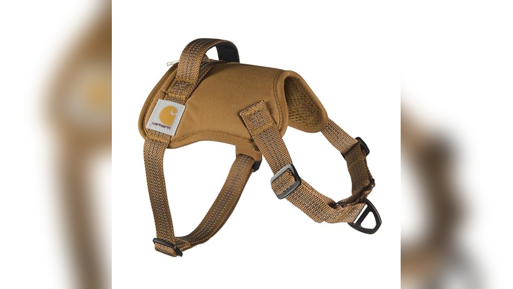 Best Leather Dog Harness