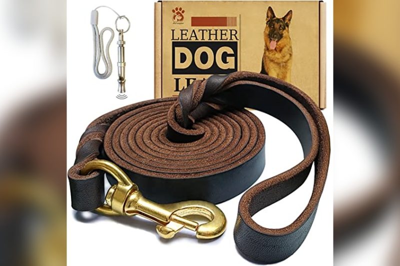 Best Leather Dog Leash Made In USA: Top Picks for Quality & Durability
