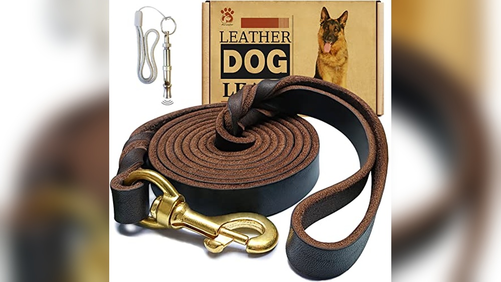 Best Leather Dog Leash Made In Usa