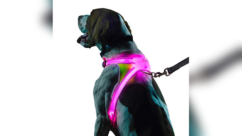 Best Led Dog Harness