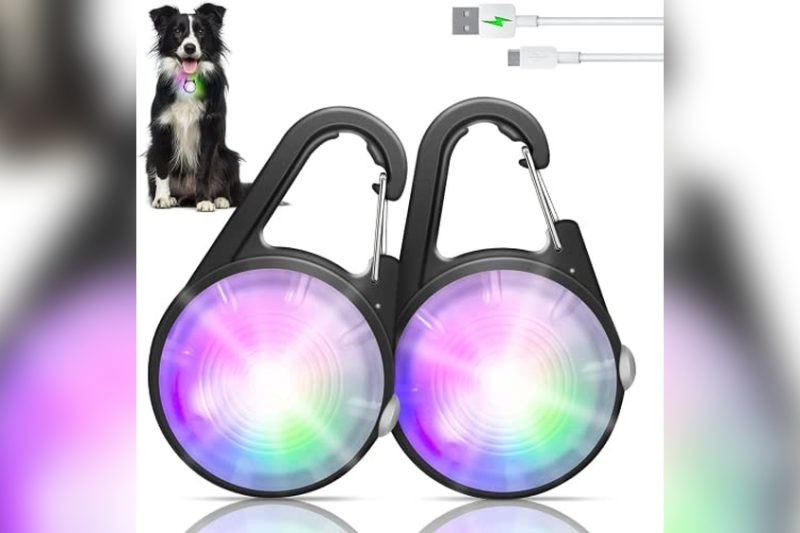 Best Light For Dog Harness: Top Safe & Bright Picks Reviewed
