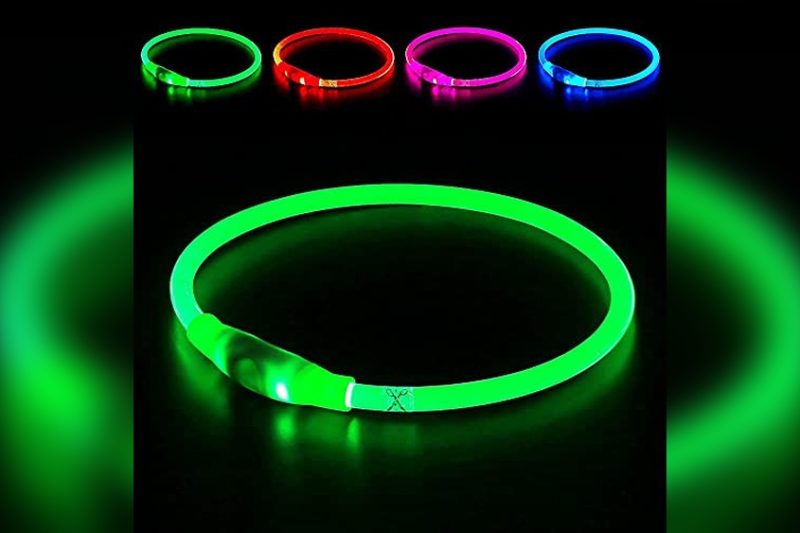 Best Light Up Dog Collar: Top Picks for Safety & Comfort