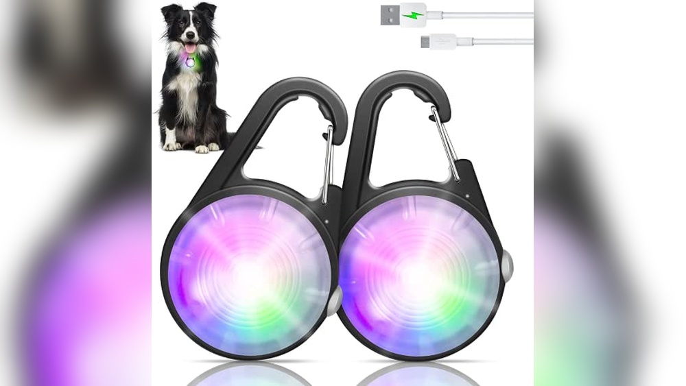 Best Lights For Dog Collars