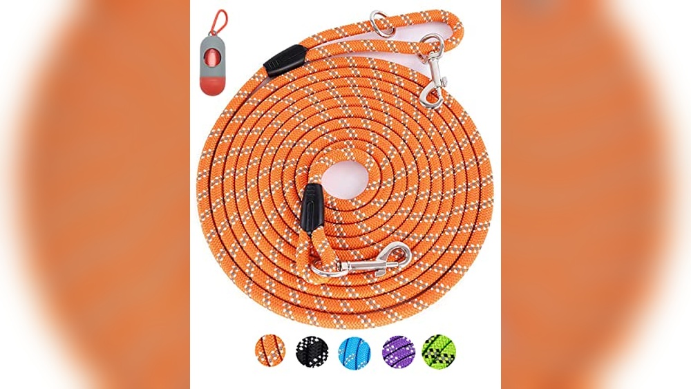 Best Long Lead For Dog Training