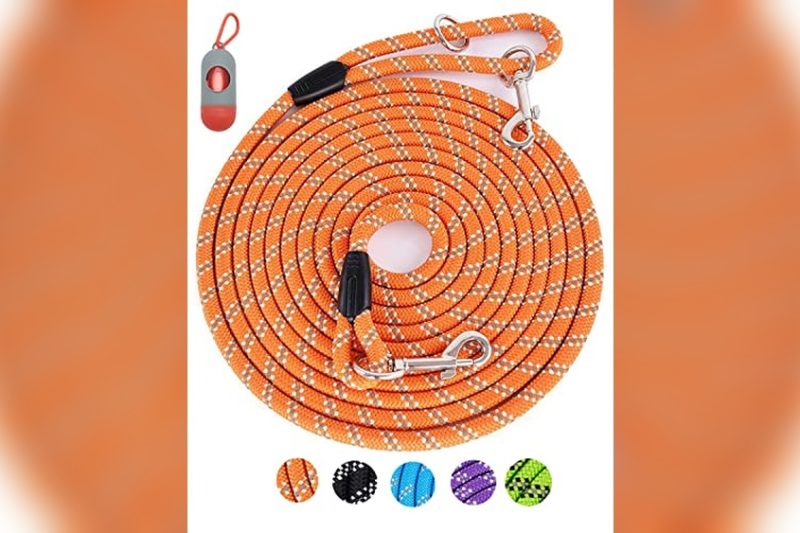 Best Long Leash For Dog Training: Top Picks & Honest Reviews