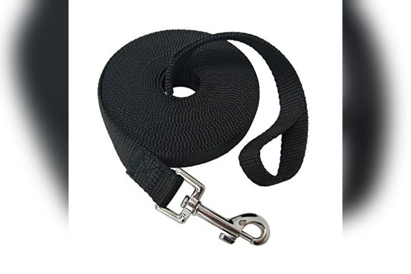 Best Long Leash For Large Dogs: Top Picks & Honest Reviews