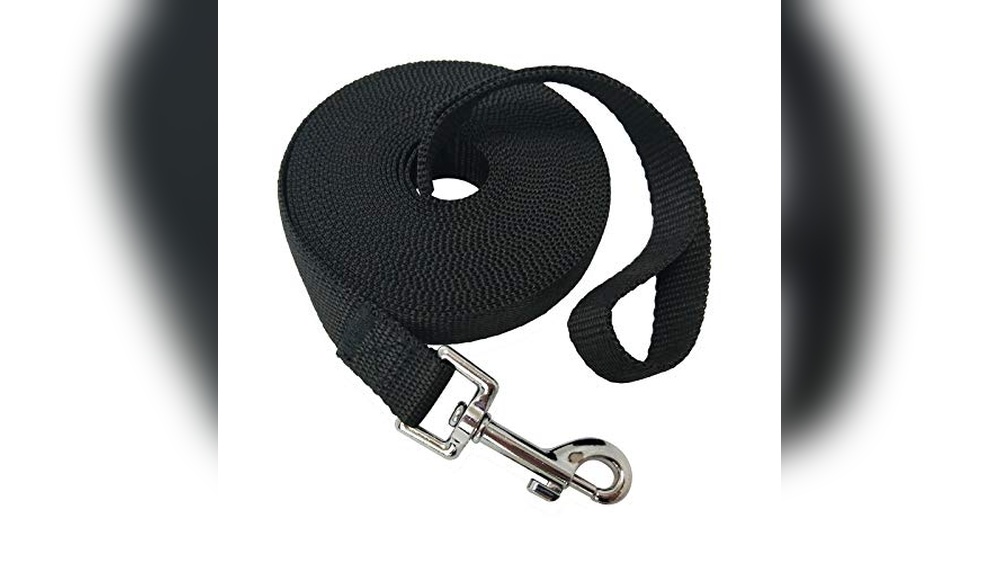 Best Long Leash For Large Dogs