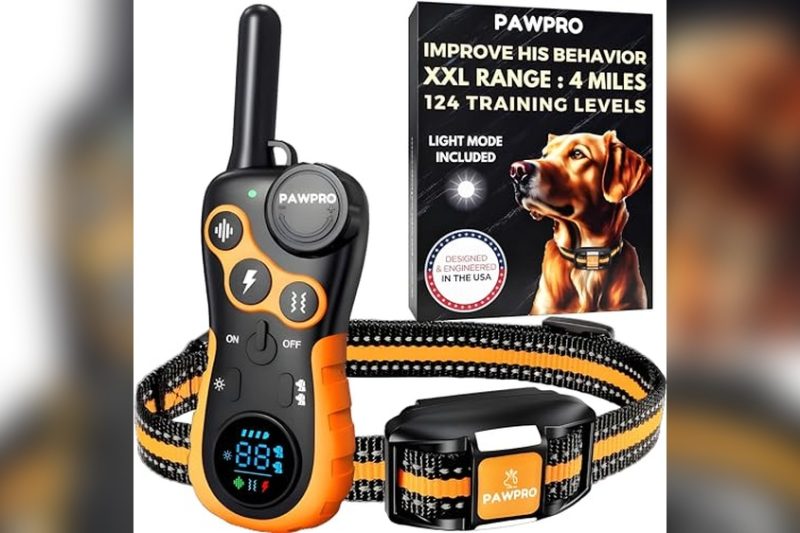 Best Long Range Shock Collar For Dogs: Top Trusted Picks 2024