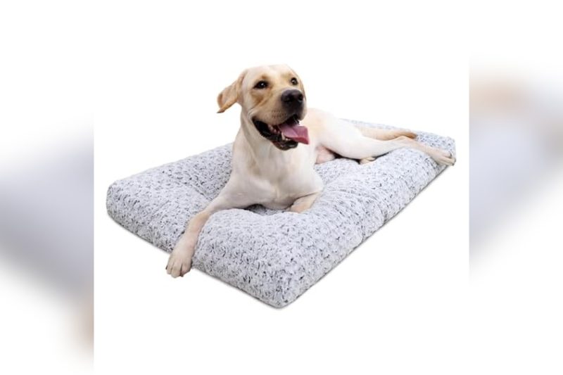 Best Mat For Dog Crate: Top Picks for Comfort & Durability